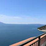 Galeb