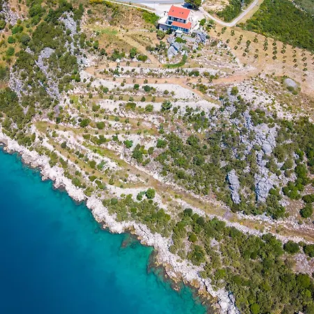 Galeb Bacina