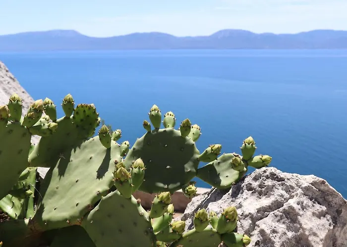 Galeb לינה וארוחת בוקר