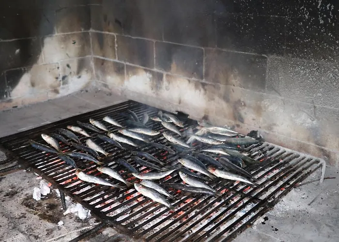 Galeb לינה וארוחת בוקר