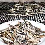 Galeb 3* Bacina