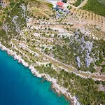 Galeb Bacina