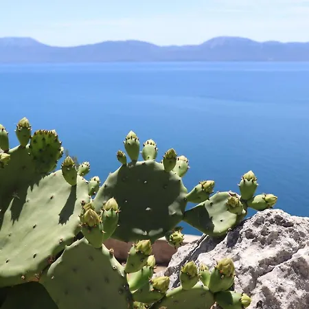 Galeb Bed & Breakfast