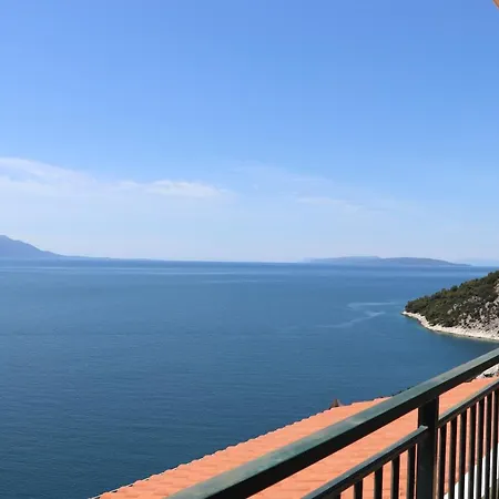 Galeb